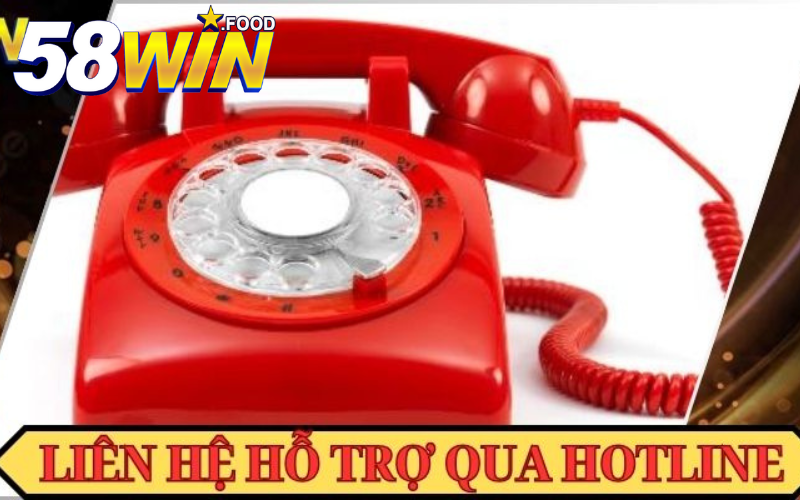 Liên hệ qua email hoặc về số điện thoại hotline